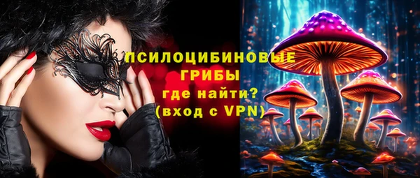 МДМА Богородицк