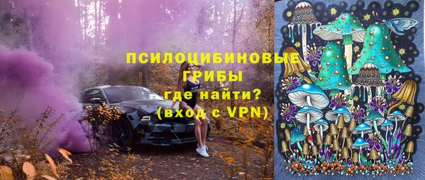 амф Богданович