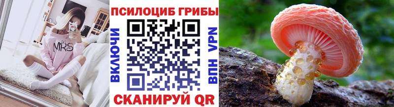 Псилоцибиновые грибы Psilocybine cubensis Юрга